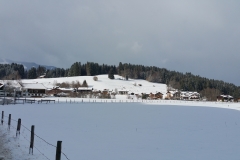 2020-02-05-13.07.53