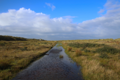 Juist_13