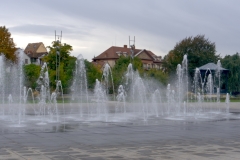 DSC03175